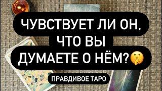 ЧУВСТВУЕТ ЛИ ОН ВАС? ️  ИСПЫТЫВАЕТ ЛИ ТО ЖЕ, ЧТО И ВЫ?  ЧТО ДУМАЕТ?  ВЫ В ЕГО ГОЛОВЕ!