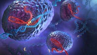 Biochemistry- Module-3:Amino Acids and Proteins-3 Sem B. Sc Microbiology