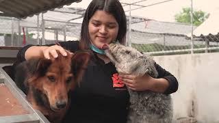 Moe's Healthy Pets: Soi Dog 45 second