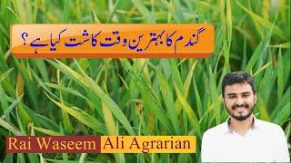 Wheat crop best Sowing time|wheat Cultivation time