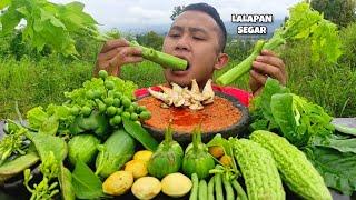 MUKBANG LALAPAN SEGAR - LALAPAN MENTAH - RUJAK SAYUR - SABEL TOMAT SUPER PEDAS