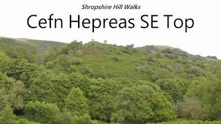 Cefn Hepreas SE Top  - Shropshire Hill Walks  74/130 Highest Shropshire Hills AONB