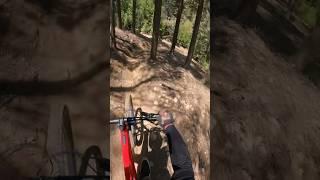 Trying To ￼Maneuver Through The Woods! #youtube #downhill #downhillbike #shortvideo #bike #mtb #love