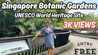 Singapore Botanical Garden, Botanic Garden Singapore, Botanical Garden Singapore, Singapore Vlog