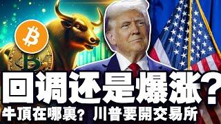 中媒评美国比特币战略储备；牛市还没见顶；川普密谈 Coinbase；a16z 2024加密报告；巴西 CBDC 试点 20241120