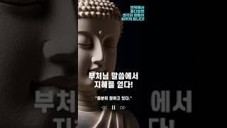 충분히 잘하고 있다 | 부처님의 가르침 | 시절인연을 만나라 | "모든 고통은 집착에서 비롯된다."  #부처님  #법문  #명상  #명언 #인생명언  #수행 #경전 #가르침 #불교