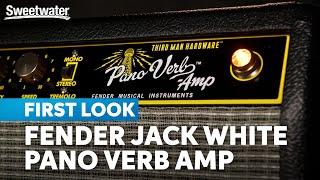 Guitarists React to Fender’s Jack White Pano Verb Amp