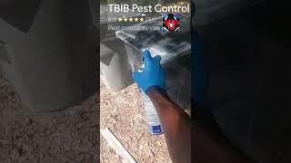 TBIB PEST CONTROL #nature #pestcontrol #home #viralvideo #entertainment