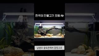 무슨 고기가 잡혔을까