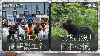 美國碼頭工人年薪240萬卻罷工?｜日本野熊入侵民眾生活圈｜國際值日生 Ep. 236