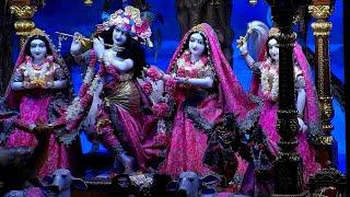 8th Nov. '24 | Mangal Aarti Darshan | Sri Sri Radha Gopinath Temple | ISKCON Chowpatty Mumbai.