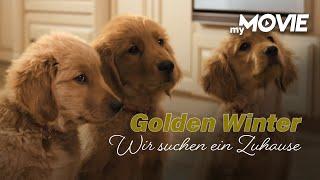 Golden Winter - Wir suchen ein Zuhause (WEIHNACHTS-MOVIE FÜR FAMILIEN - ganzer Film kostenlos)