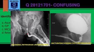 IDENTIFYING INVESTIGATIONS OF URINARY SYSTEM- IVP/RGP/ASU/MCU