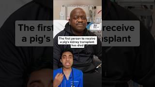 First person with Pig Kidney Dies 2 months after Transplant — Doctor explains