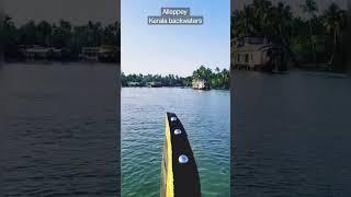 Alleppey Kerala backwaters. Alappuzha Beach #shorts