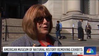 Why the American Museum of Natural History is removing human remains from exhibits | NBC New York