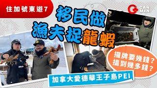 移民加拿大做漁夫 食定暈浪丸! 出海直擊撈龍蝦 船牌幾多錢？搵到幾多錢？ 直接同漁夫買抵到哭 愛德華王子島 PEI PNP移民項目 700人小鎮Tignish都有香港人