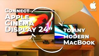 How to Connect Apple Cinema Display LED 24 inch to modern MacBook | Use of 16 inch MacBook Pro 2019