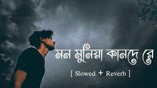 Mon munia[ মন মুনিয়া ] lofi। F A Sumon। Bengali song। Slowed + Reverb