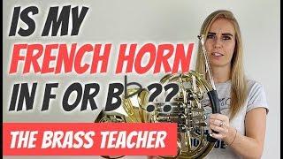  Is my French Horn in B Flat  or F? | Beginner French Horn Help