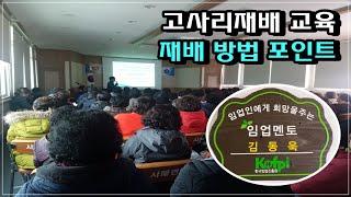 [고사리재배 방법 강의, 고사리박사 김동욱] 고사리 재배 방법 포인트 설명 / 고사리 종근 심는 방법, 관리방법 / 배수관리 방법 / 풀관리 방법 / 고사리 가공, 판로 등