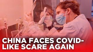 HMPV Virus China News LIVE | China HMPV Virus Outbreak News | Is Another Pandemic Brewing In China?