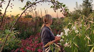 Floret Farm Tour: Fall Cutting Garden