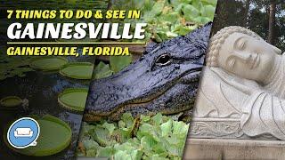 7 Cool Things to Do and See in Gainesville, Florida| Potato Donuts, Gardens, Alligators and More!