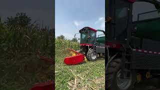 zLzs : The Best Of Farm Tools And Equipment 2025! #shorts #farming