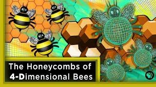 The Honeycombs of 4-Dimensional Bees ft. Joe Hanson | Infinite Series