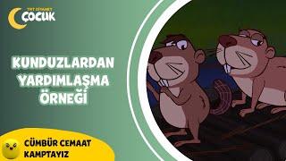 Kunduzların Yardımlaşma Örneği - Cümbür Cemaat Kamptayız