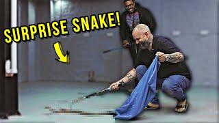 I Surprised My Friend With A Crazy Venomous Snake!