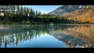 My Fishing World Ловим всех рыб на озере Тихом.