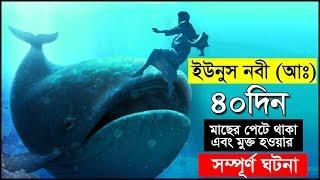 হযরত ইউনুস নবীর ৪০দিন মাছের পেটে থাকার সম্পূর্ণ ঘটনা । এবং মুক্ত হওয়ার অলৌকিক কাহিনী | Hazrat Yunus