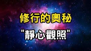 修行的奧秘：靜心觀照！走向觀照之境，消融自我，永世超脫。觀照、靜心與自我超越 #開悟 #覺醒 #靈性成長