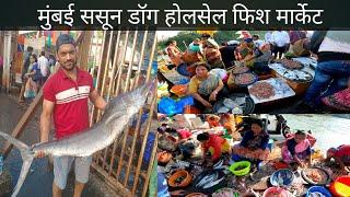 Sassoon dock fish market mumbai | Colaba fish market | Wholesale fish market | ससून डॉग फिश मार्केट