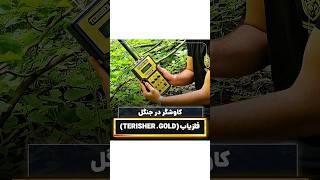 کشف گنج و دفینه با فلزیاب در عمق جنگل🪙(#hazine#طلایاب#فلزیاب#گنج#گنجیاب#hazineavcısı#نقطه_زن#دفینه)