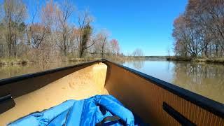 Canoeing into Crabtree Lake from Crabtree Creek