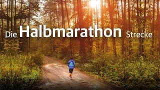 Die Trailrunning-Halbmarathon-Strecke – pure Herausforderung & Natur pur!