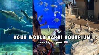 AQUA WORLD OARAI AQUARIUM | Oarai Ibaraki, Japan 