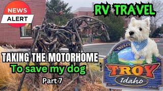 From Washington State University VeterinaryTeaching Hospital to Troy in IDAHO #RVtravel #Dogs