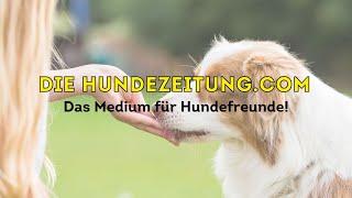 Kanaltrailer ⎮diehundezeitung.com