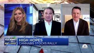 Tilray-Aphria merger will create the largest retail cannabis company in the world: Aphria CEO