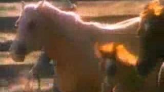 Ronald Reagan TV Ad: "Foreign Policy"