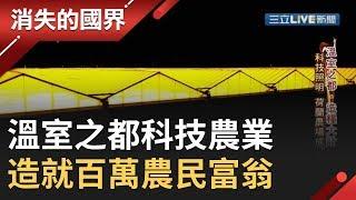 "溫室之都"荷蘭韋斯特蘭成不夜城 科技發展農業造就農民富翁│李天怡主持│【消失的國界完整版】20190921│三立新聞台