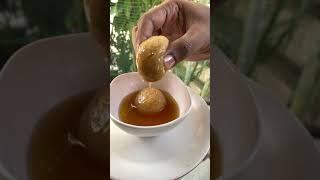 Most Satisfying thing to do with Rosogulla ( palm jaggery Rosogulla)