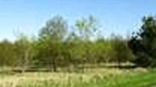 Homes for Sale - VL THREAD RIVER DR ATLAS MI 48438 - Michelle Parker