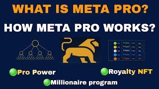 Full Explanation on how Meta Pro works