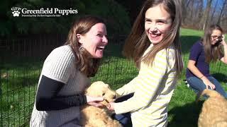 Greenfield Puppies Commercial (20 Seconds)