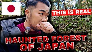 THE HAUNTED FOREST OF MT FUJI JAPAN 